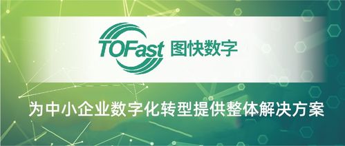 临安数字化服务商 以数字内容制作服务获评市级优秀背后的创新实践